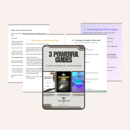 PLR Business Starter Bundle – 3 Expert Guides for Beginners