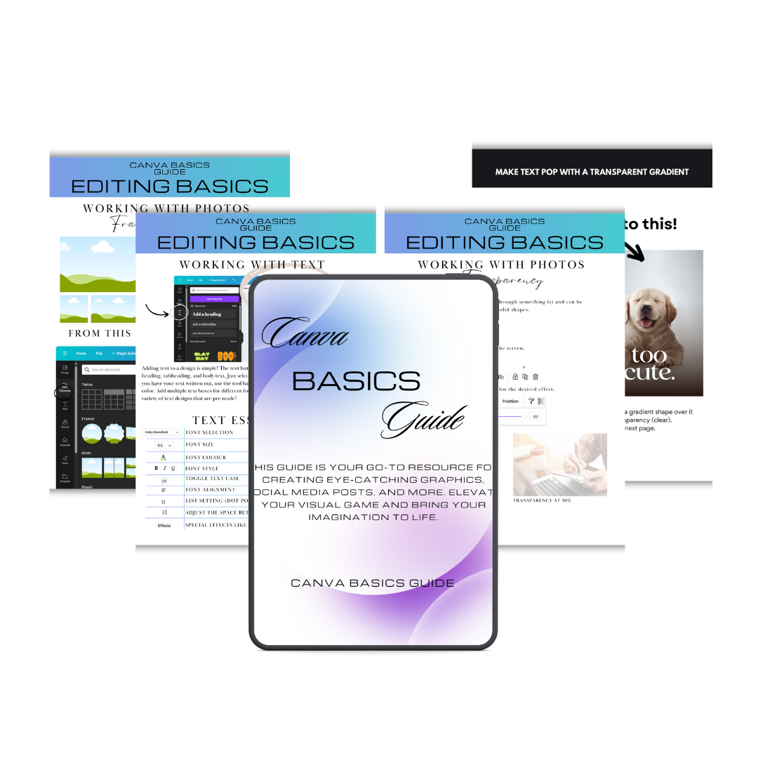 Creator and Business Pro Essentials Bundle