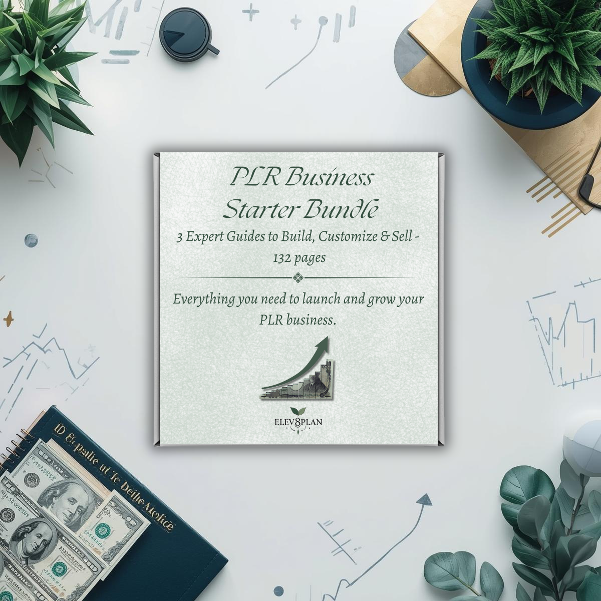 PLR Business Starter Bundle – 3 Expert Guides for Beginners